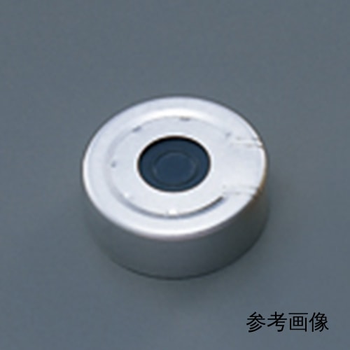 带 PTFE/丁基隔膜的安全盖 20030112 100 件