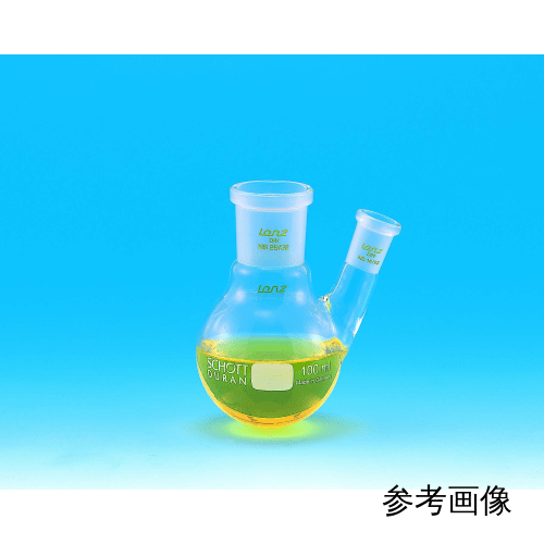 NS（普通滑动）二颈茄子烧瓶250mL 29-19